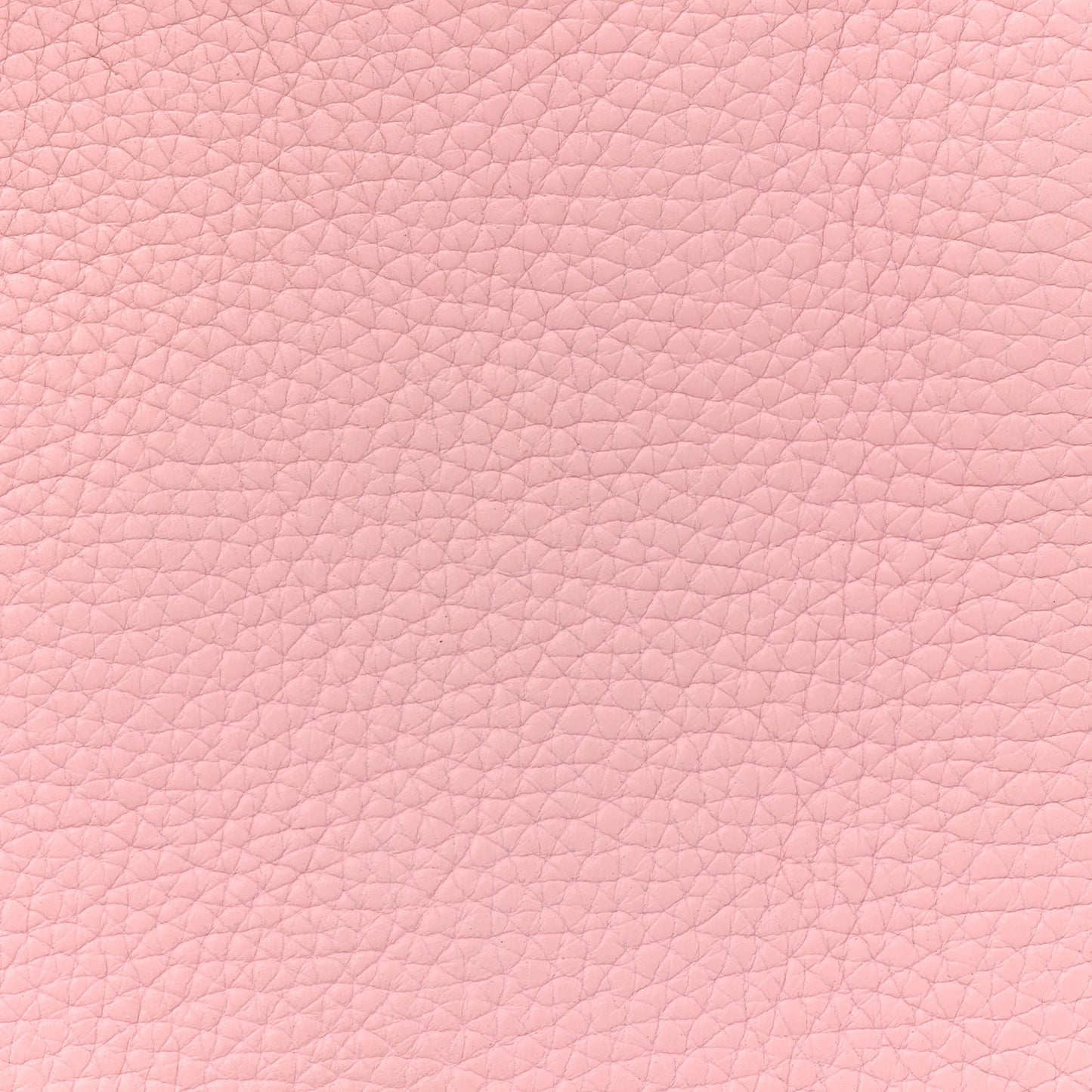 Taurillon Clemence Evelyne III PM Rose Sakura