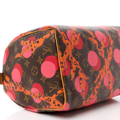 Louis Vuitton Monogram Ramages Speedy 30 Grenade 9 of 12