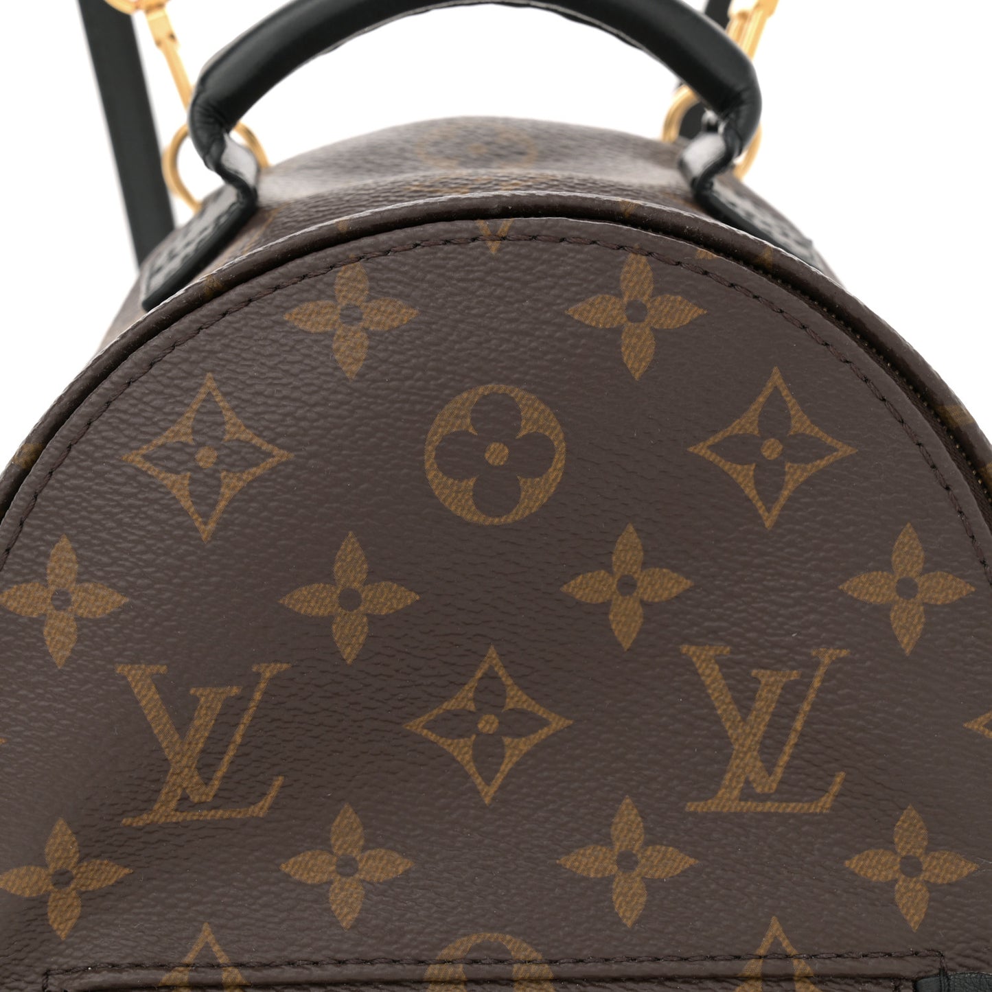 Monogram Palm Springs Backpack Mini