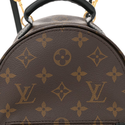 Louis Vuitton Monogram Palm Springs Backpack Mini 8 of 14