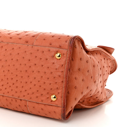 Prada Ostrich  Tote Cognac 11 of 13