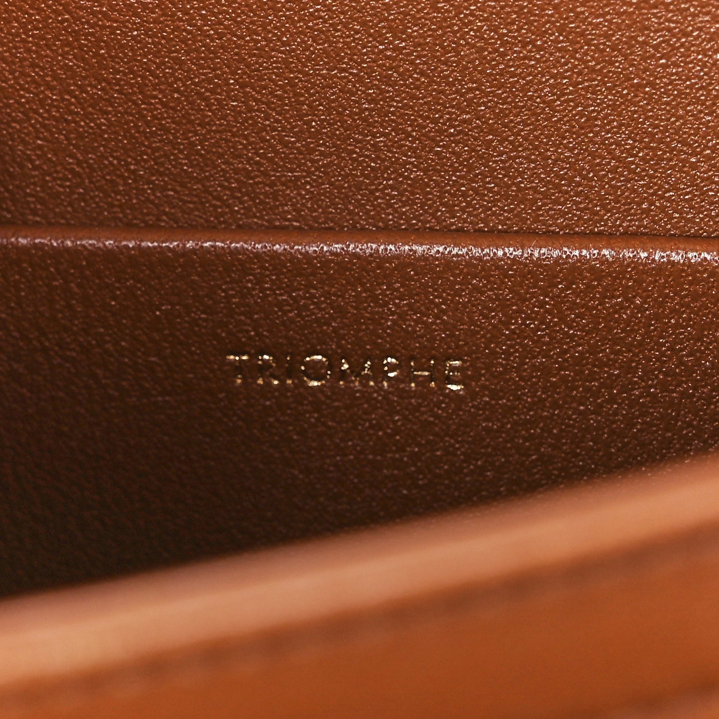 Calfskin Triomphe Canvas Teen Triomphe Bag Tan
