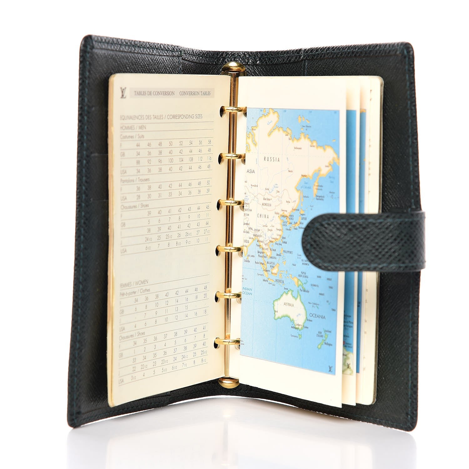 Louis Vuitton Taiga Small Ring Agenda Cover Epicea 5 of 6