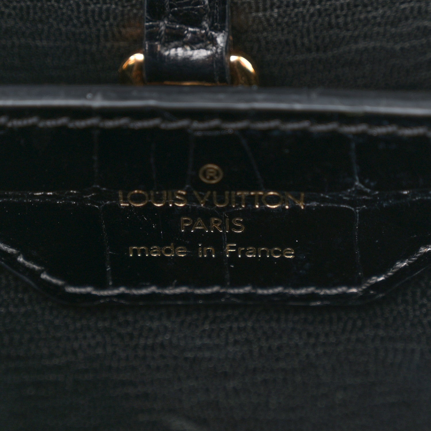 Louis Vuitton Brilliant Alligator Capucines PM Black 6 of 13