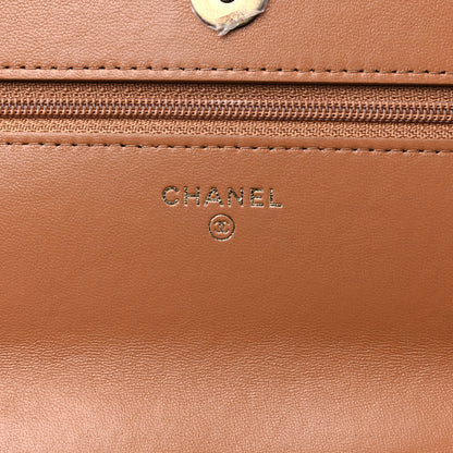 Chanel Lambskin Quilted Chanel 19 Wallet On Chain WOC Brown 6 of 12