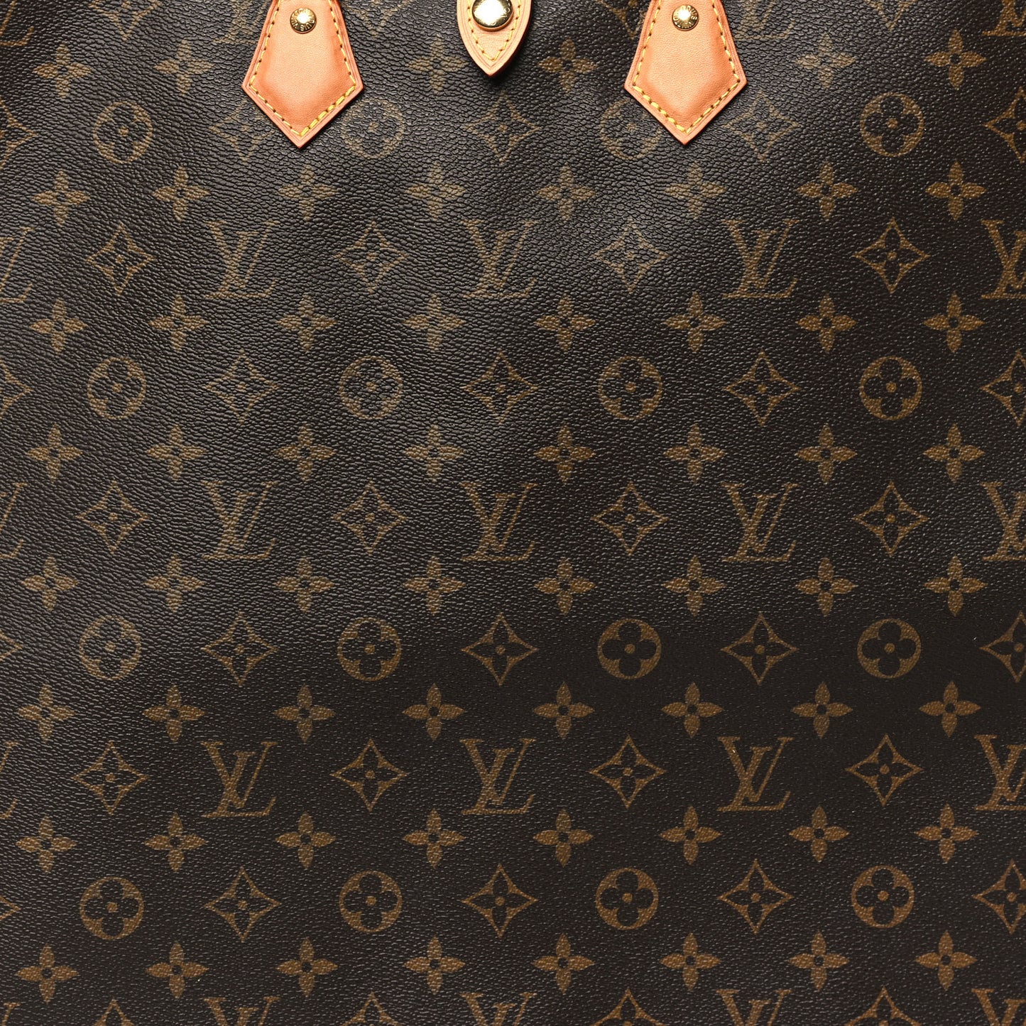 Monogram Garment Bag