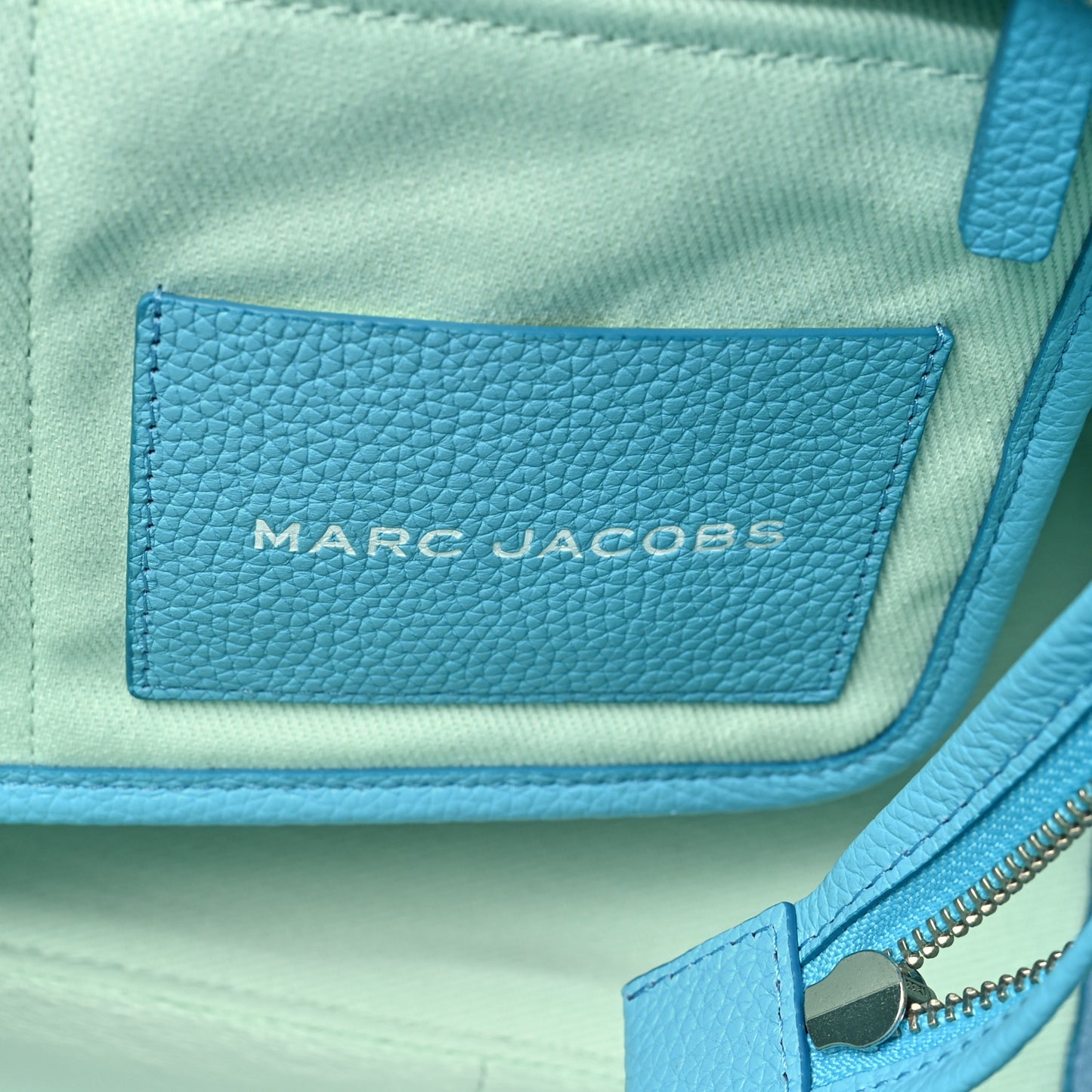 Grained Calfskin Medium The Tote Bag Pool