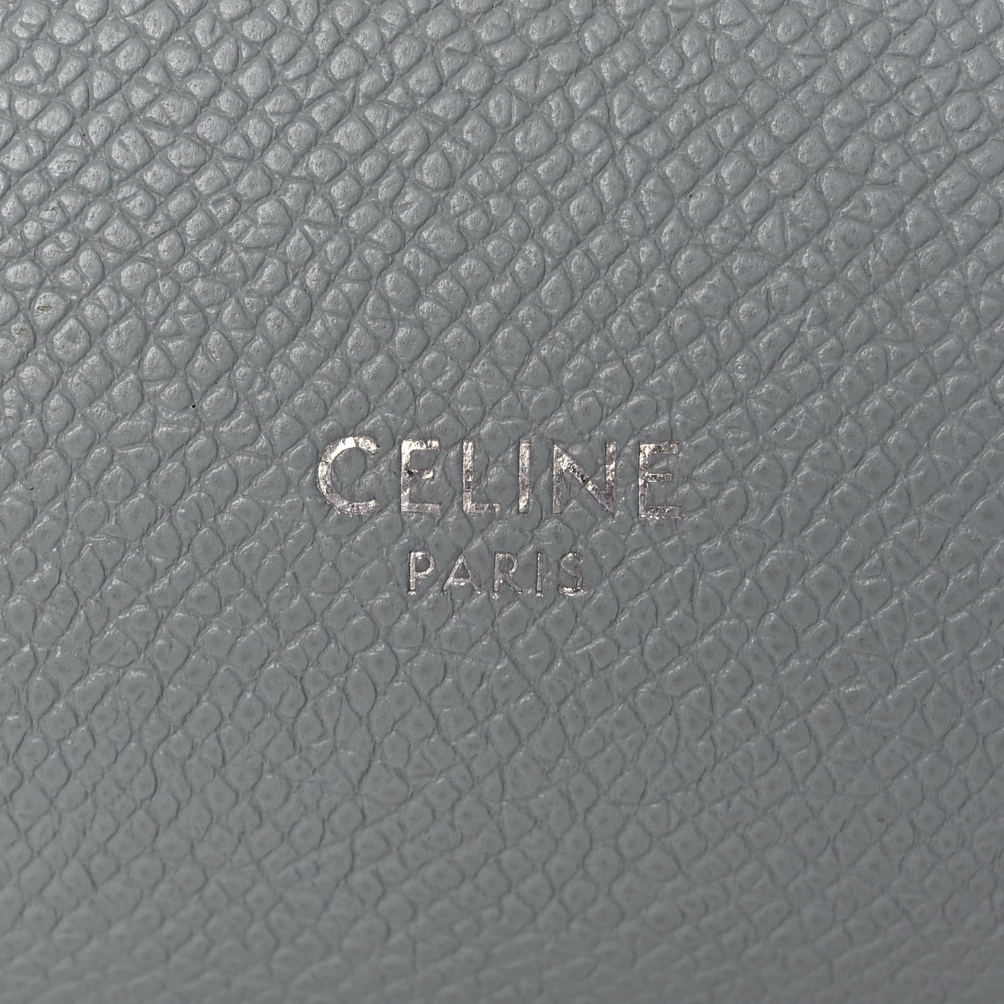 Grained Calfskin Nano Belt Bag Mineral