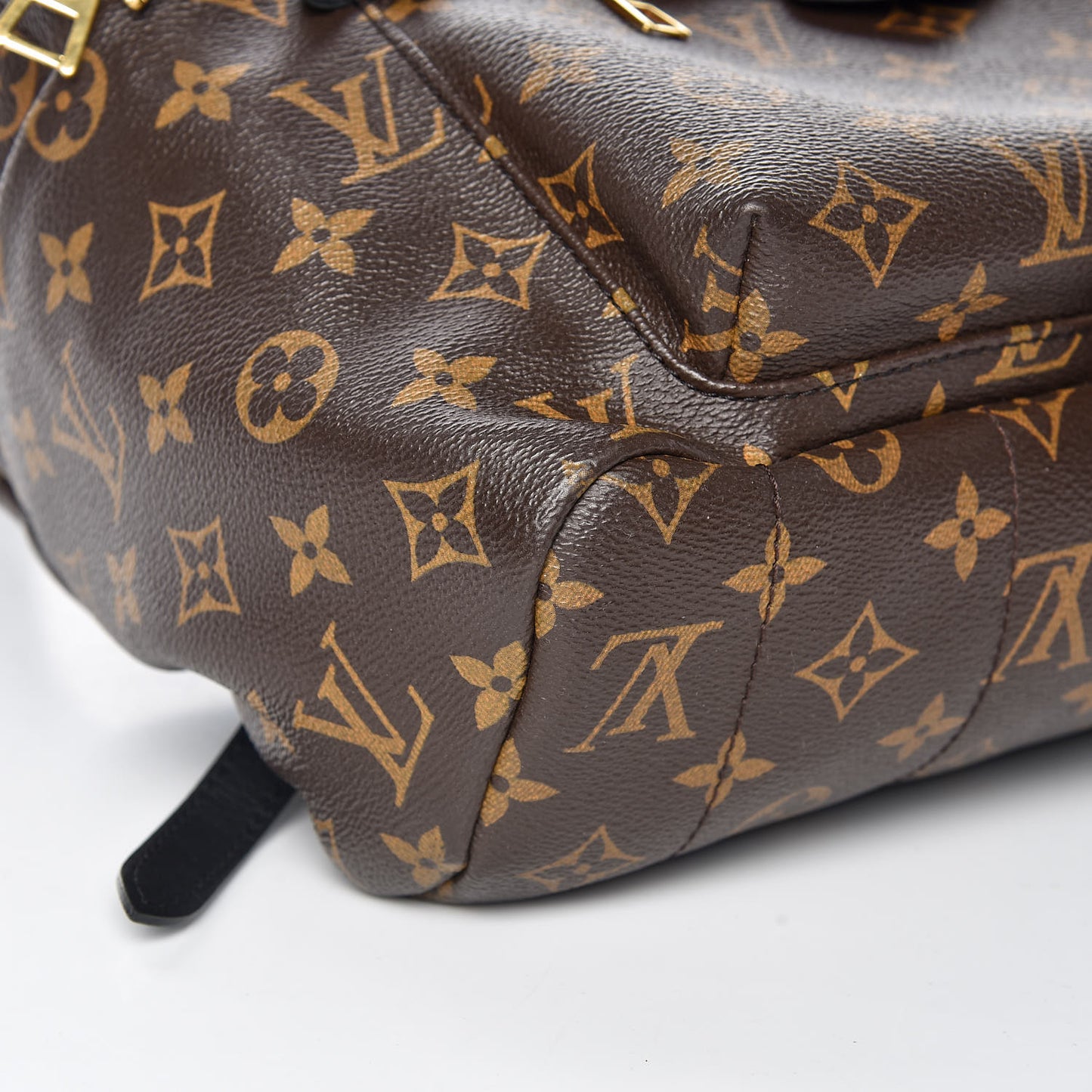 Monogram Palm Springs Backpack MM