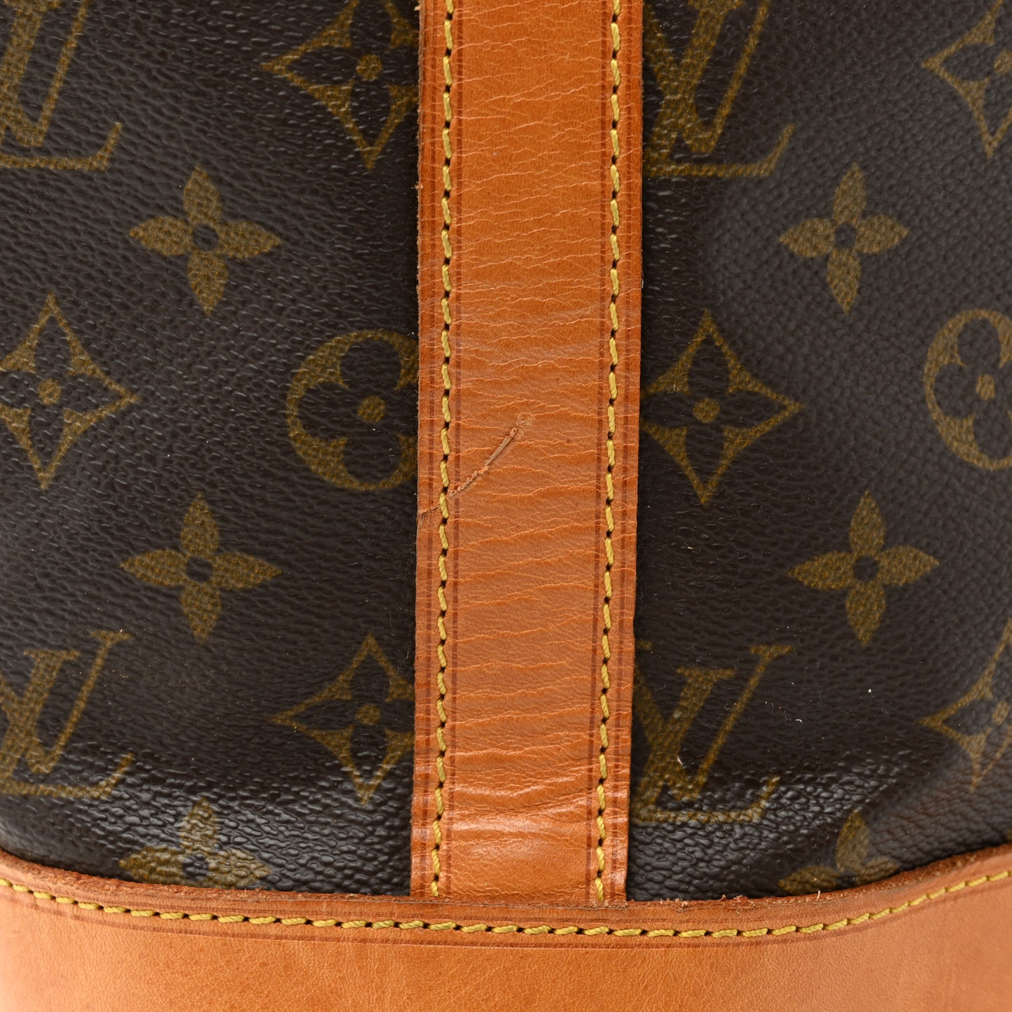 Monogram Randonnee GM Backpack