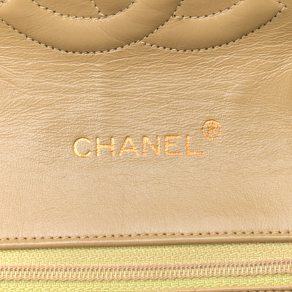 Chanel Lambskin Quilted Medium Single Flap Beige 6 of 17