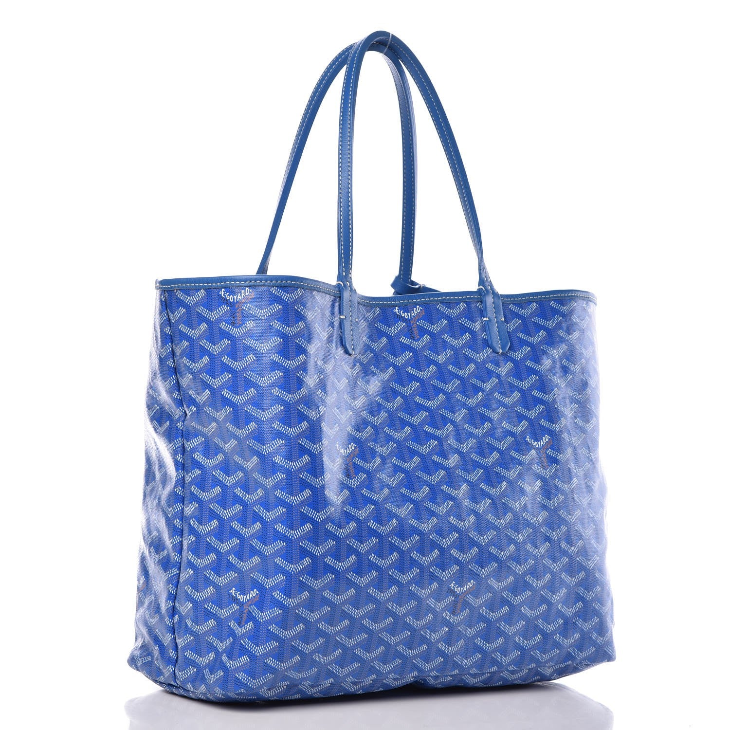 Goyard Goyardine Saint Louis PM Sky Blue 4 of 10