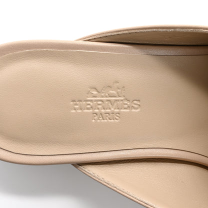 Hermes Shiny Lizard Calfskin Oz Mules 36 Beige Sarrazin 7 of 10