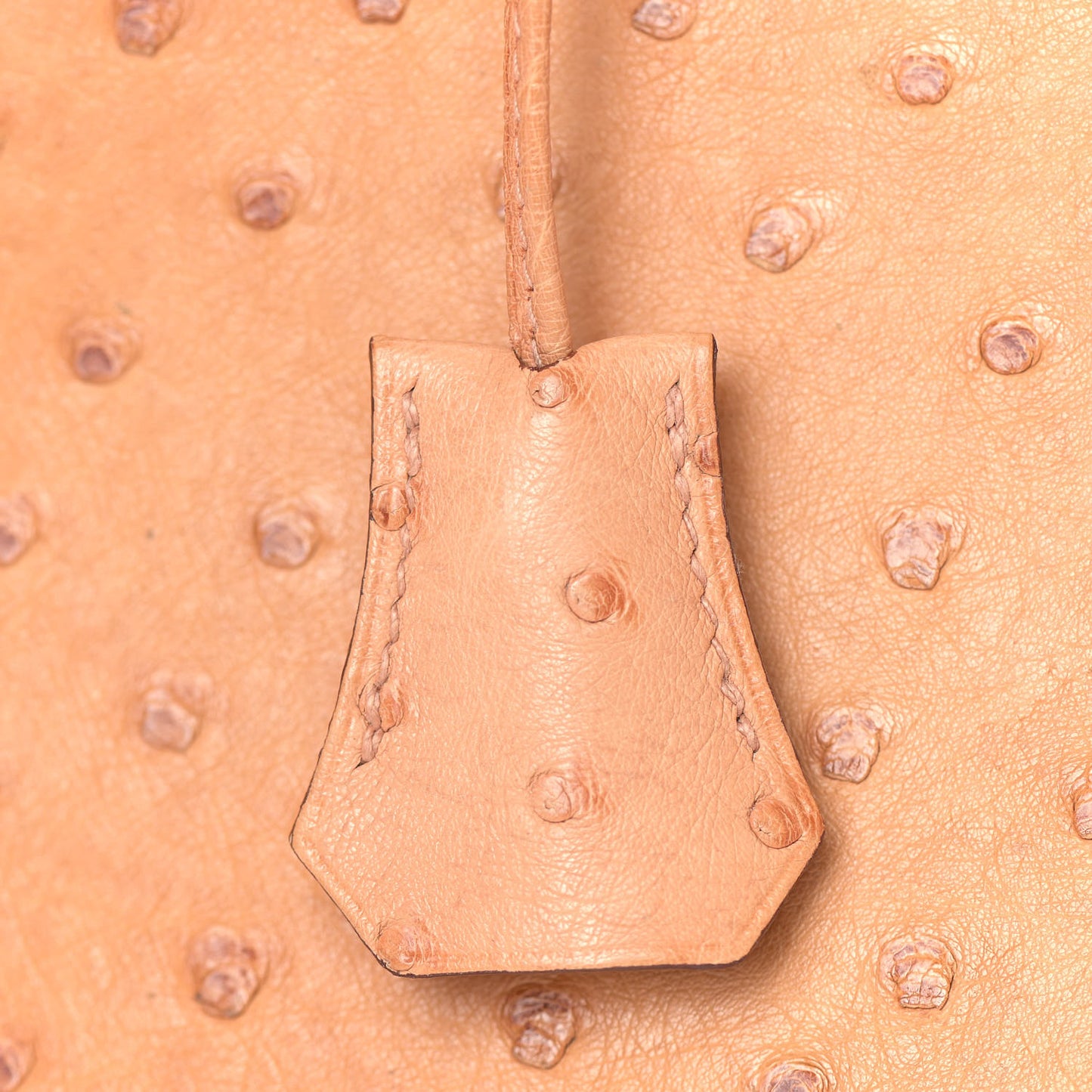 Ostrich Birkin 30 Sable