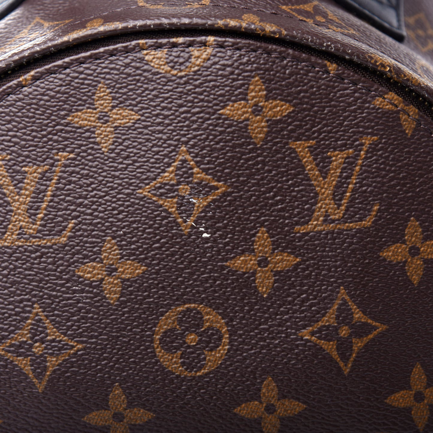 Reverse Monogram Palm Springs Backpack PM