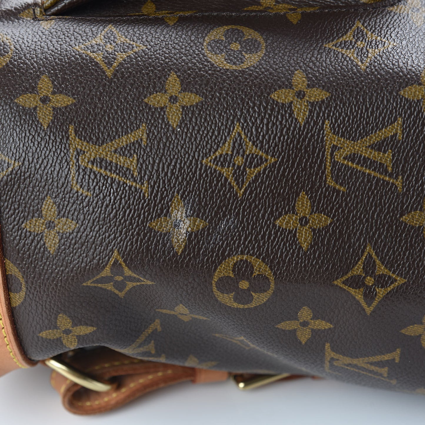 Monogram Montsouris GM Backpack