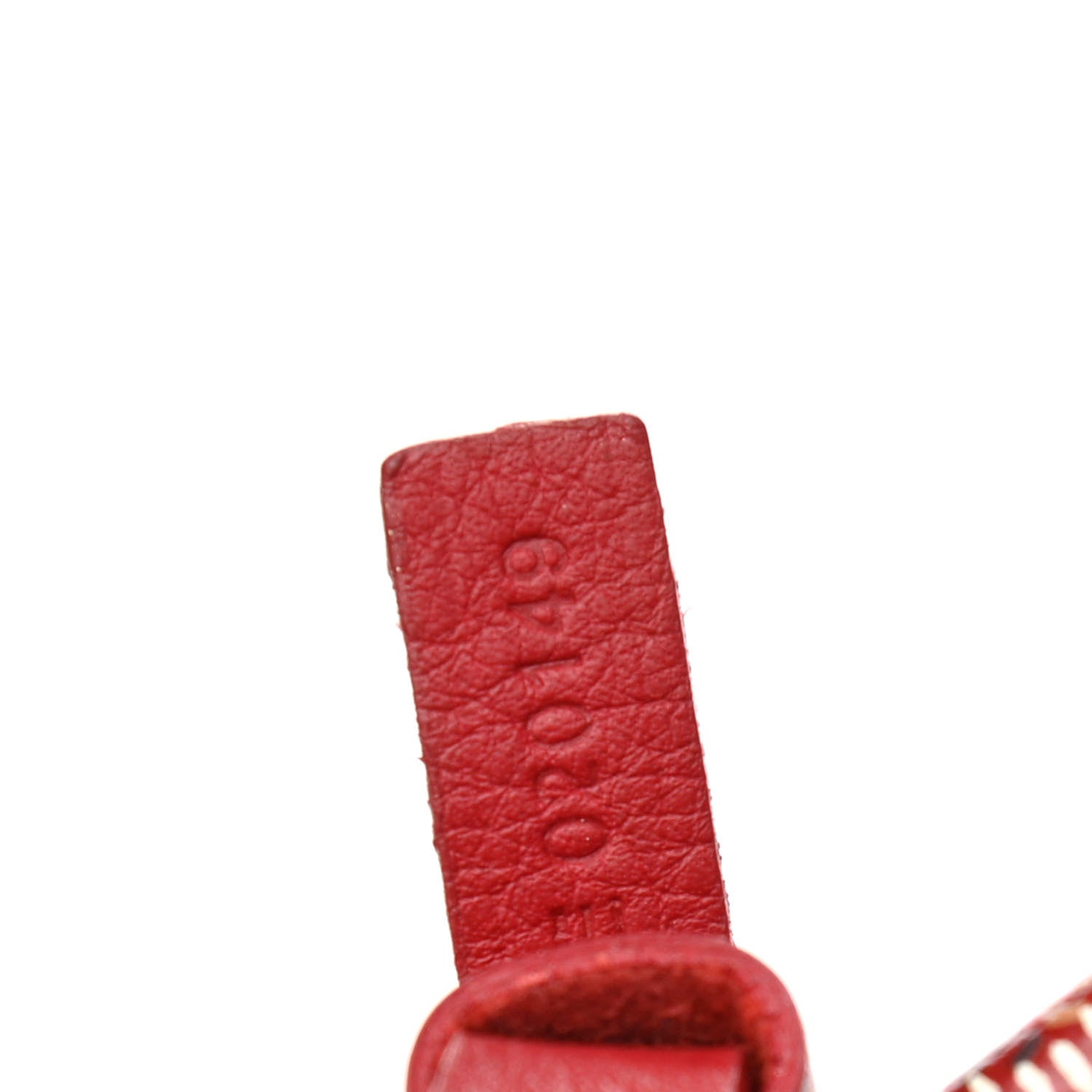 Goyard Goyardine Saint Louis PM Red 8 of 18