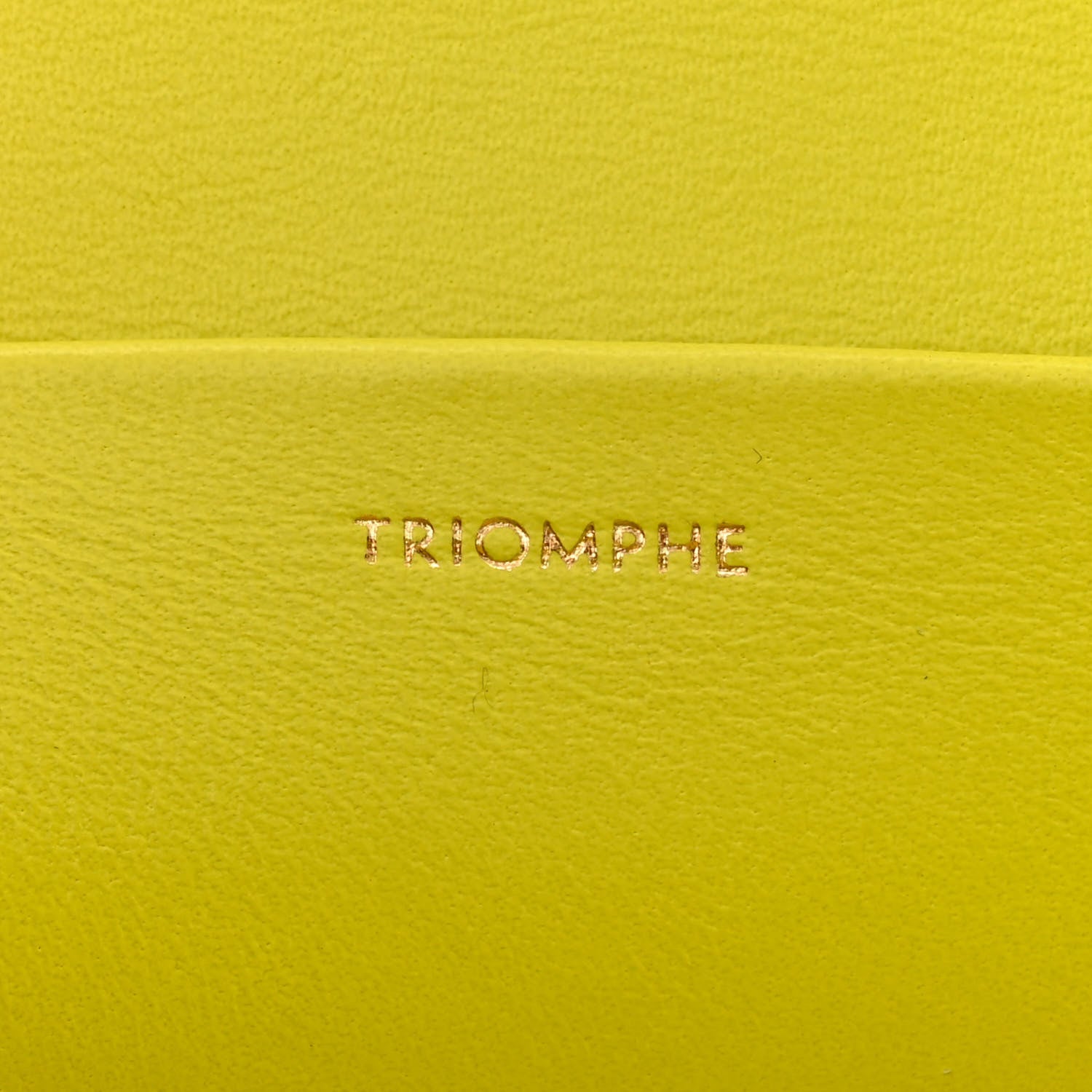 Celine Shiny Calfskin Cuir Triomphe Chain Shoulder Bag Anis 9 of 13