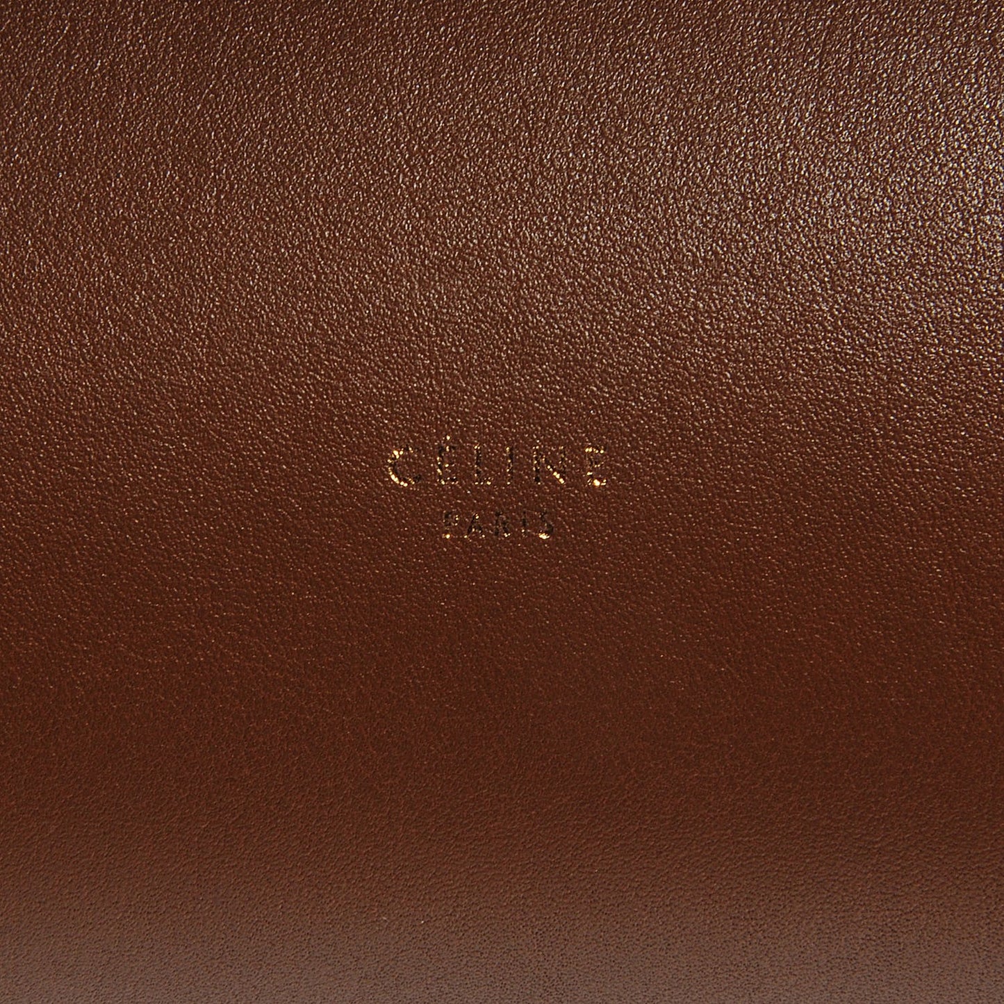 Smooth Calfskin Mini Belt Bag Camel