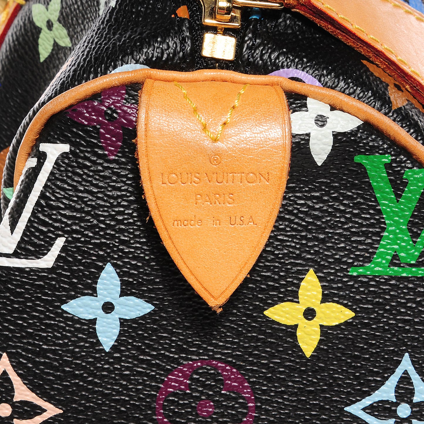 Monogram Multicolor Speedy 30 Black
