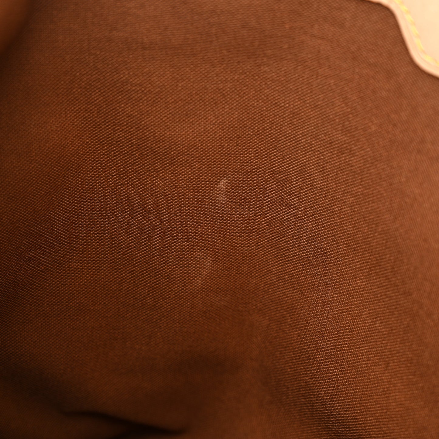 Monogram Cabas Mezzo