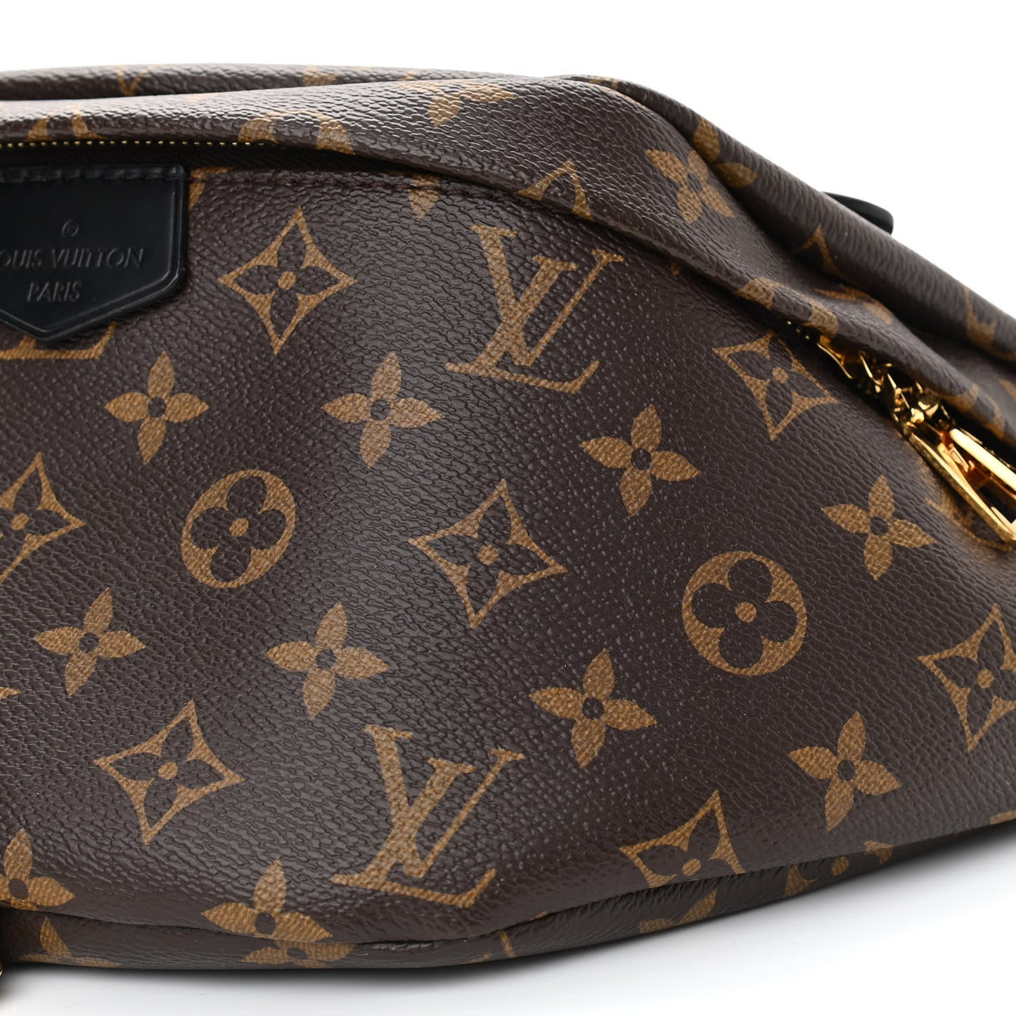 Monogram My LV World Tour Bumbag