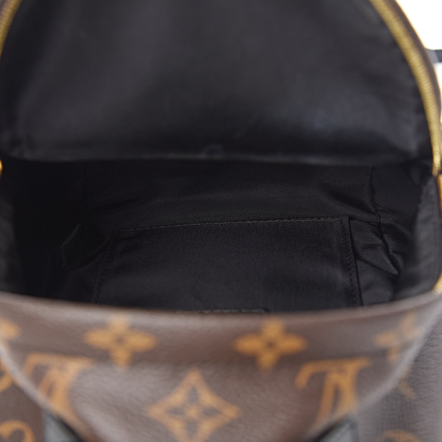 Monogram Palm Springs Backpack Mini