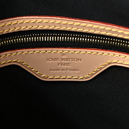 Louis Vuitton Reverse Monogram Carry It 5 of 11