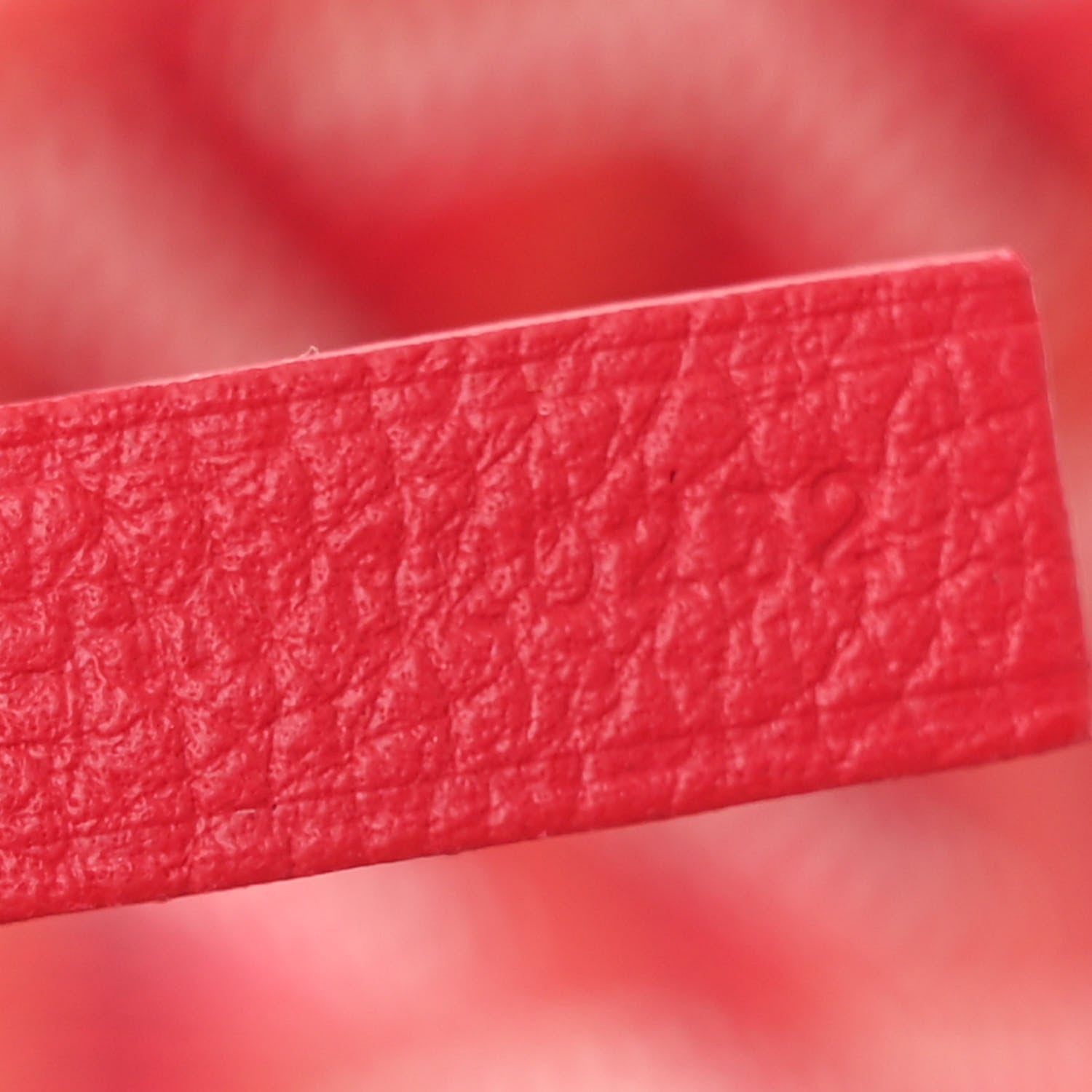 Goyard Goyardine Le Jardin Saint Louis PM Fuchsia 9 of 12