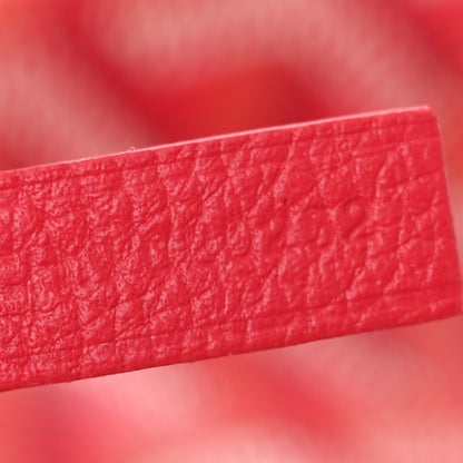 Goyard Goyardine Le Jardin Saint Louis PM Fuchsia 9 of 12