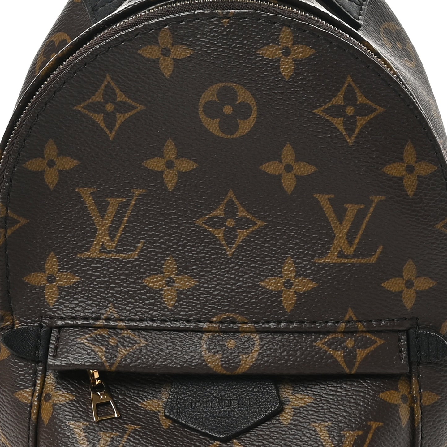 Monogram Palm Springs Backpack Mini