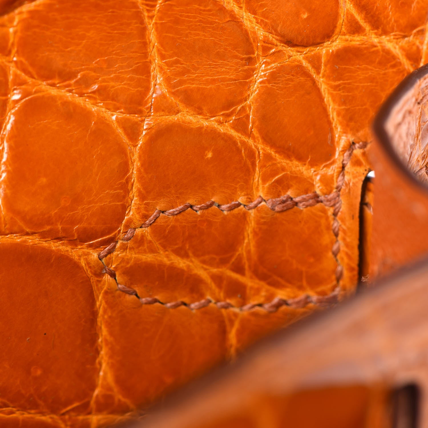 Hermes Shiny Niloticus Crocodile Kelly Cut Pochette Pain D'Epice 14 of 22