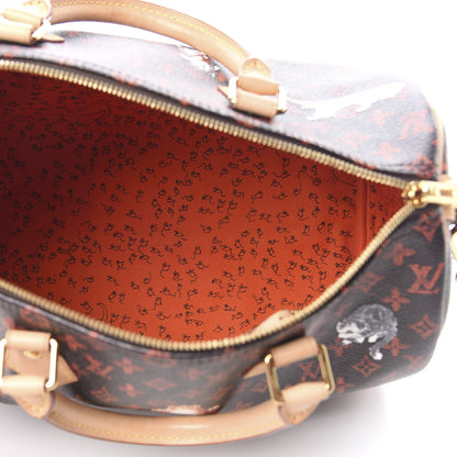 Louis Vuitton Catogram Speedy Bandouliere 30 Marron 6 of 12