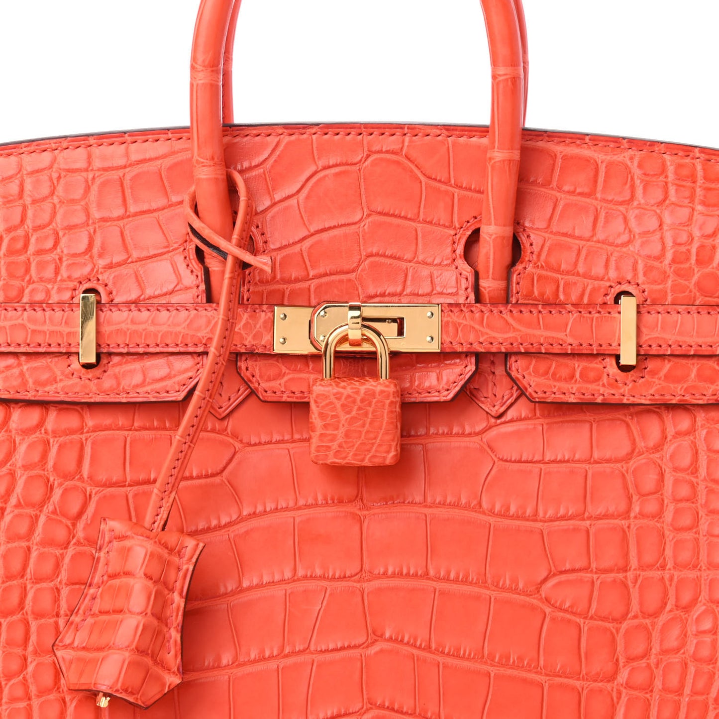 Matte Alligator Birkin 25 Orange Poppy