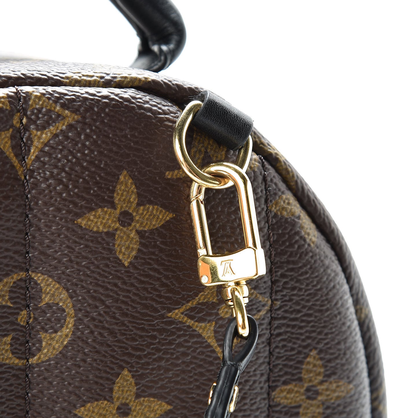 Monogram Palm Springs Backpack Mini