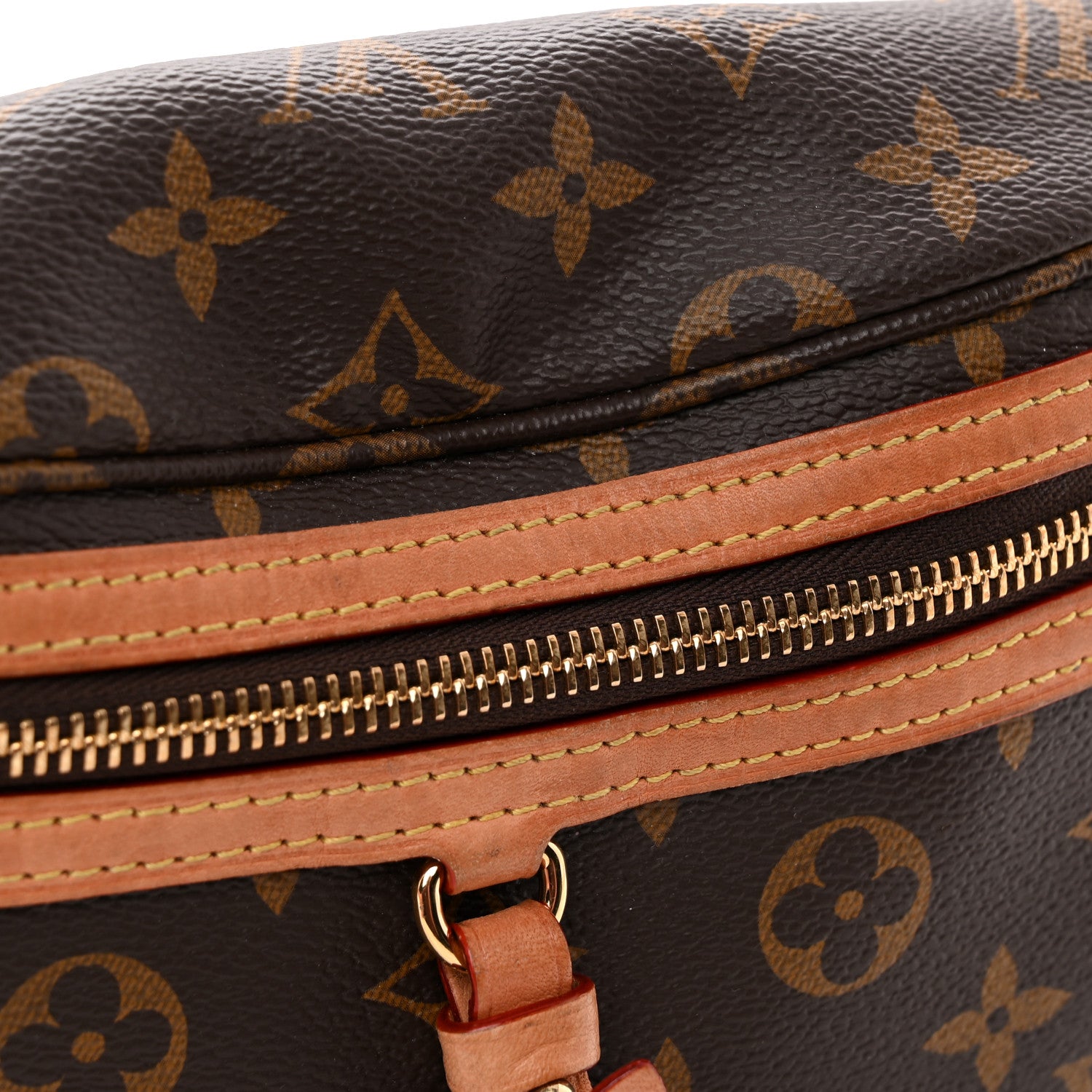 Louis Vuitton Monogram High Rise Bumbag 12 of 14