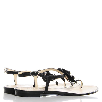 Chanel Lambskin Camellia Thong Sandals 41 11 Black 11 of 14
