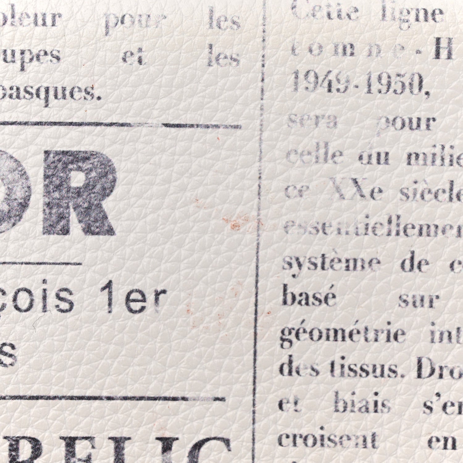 Christian Dior X DANIEL ARSHAM Grained Calfskin Newspaper Print Saddle Bag White 13 of 19