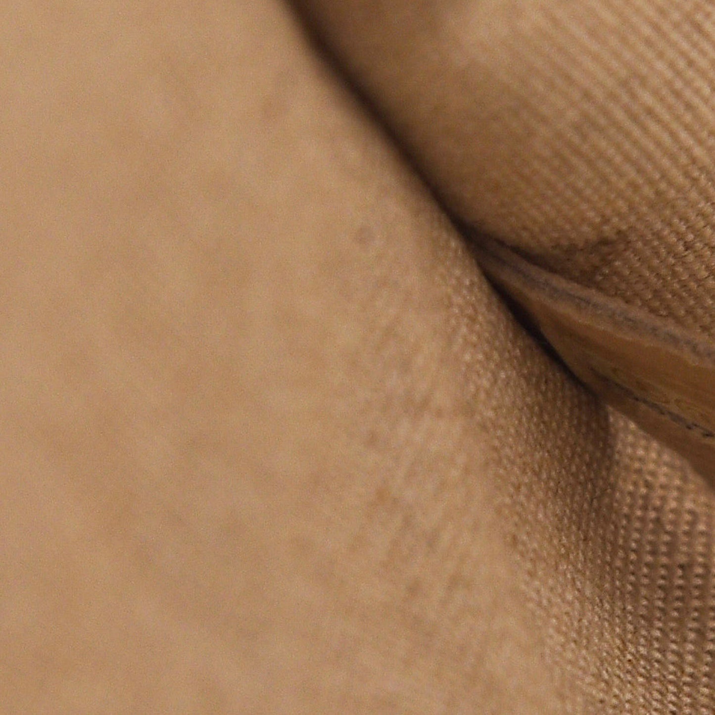 Canvas Large Iliad Shopping Tote Beige