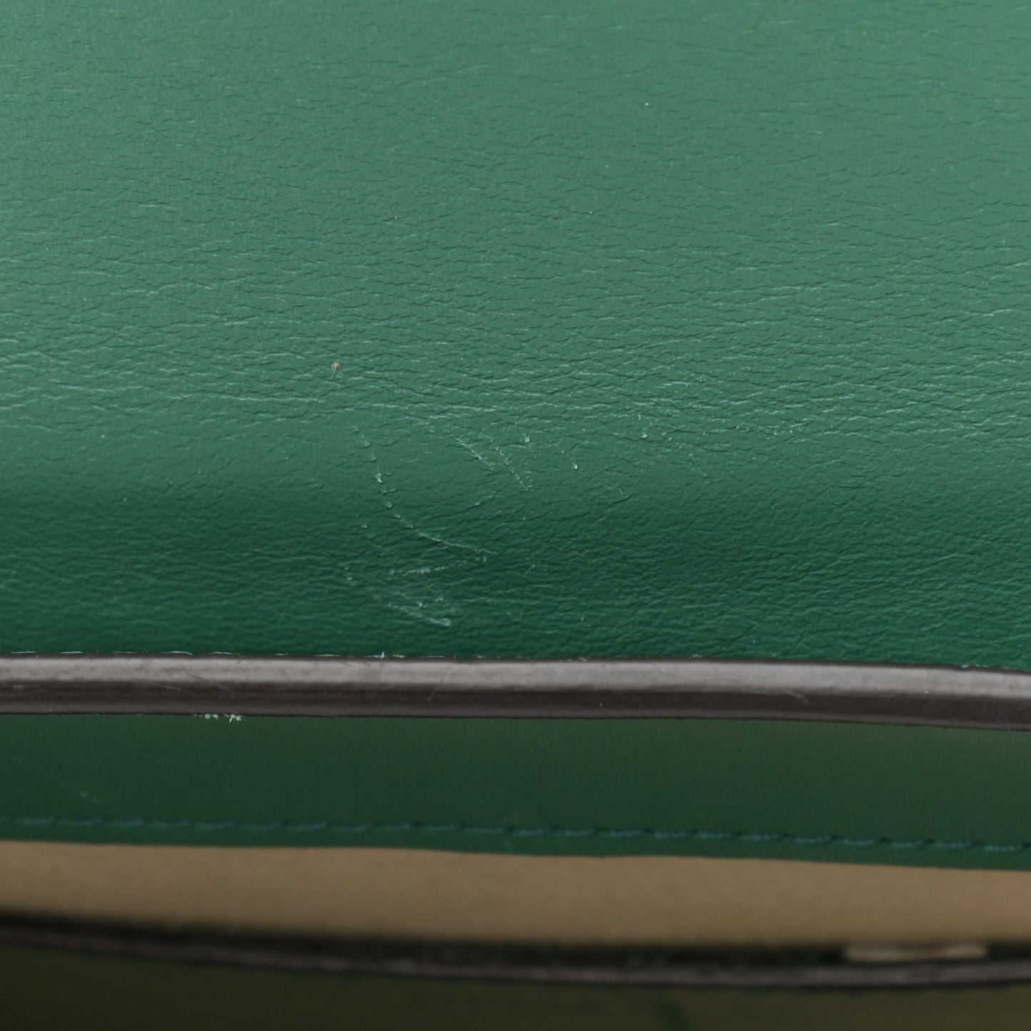 Calfskin Crocodile Embossed Small Tess Bag Woodsy Green