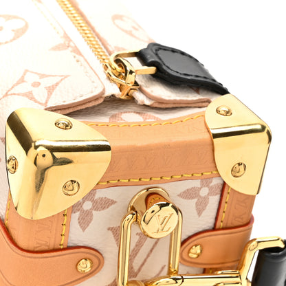 Louis Vuitton Monogram Dune Side Trunk 10 of 10