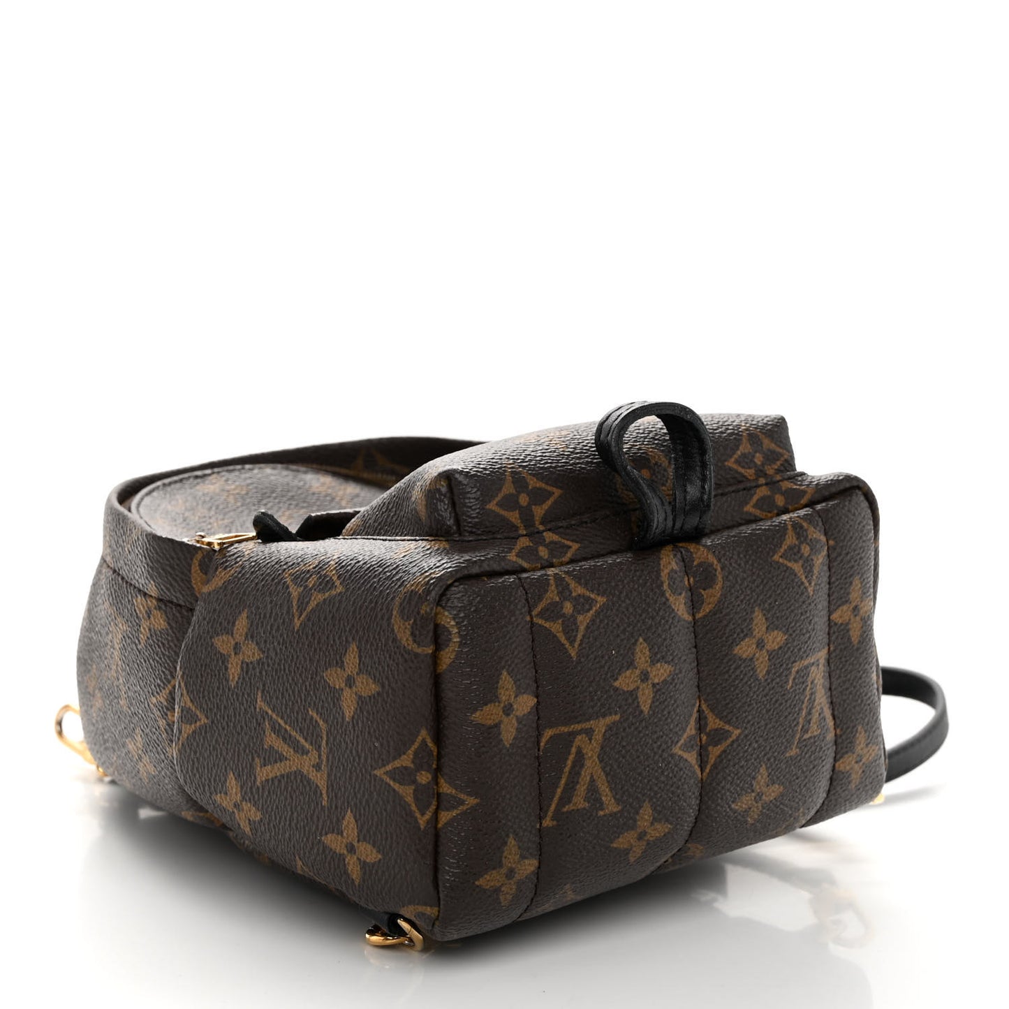 Monogram Palm Springs Backpack Mini