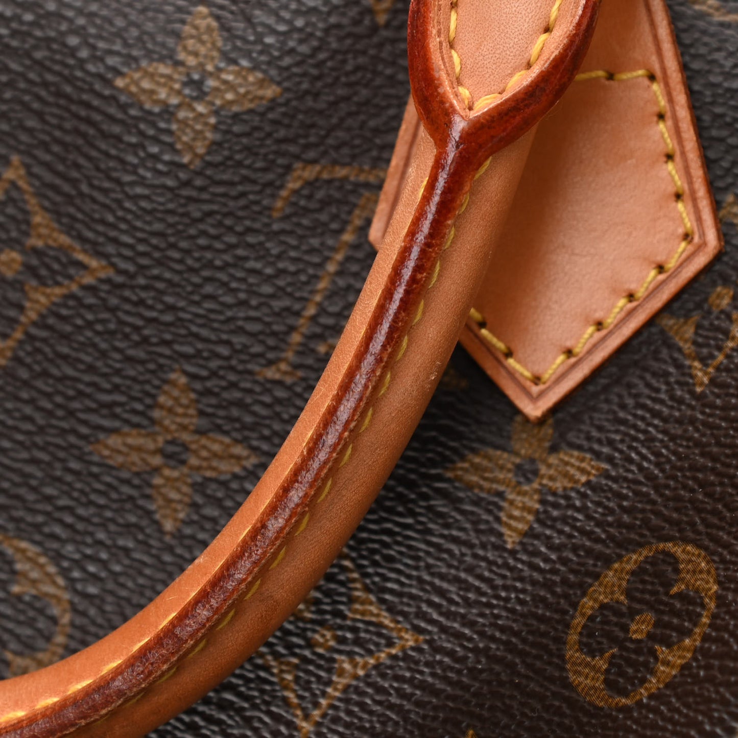 Monogram Speedy 30