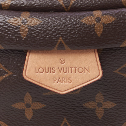 Louis Vuitton Monogram Bumbag 8 of 9