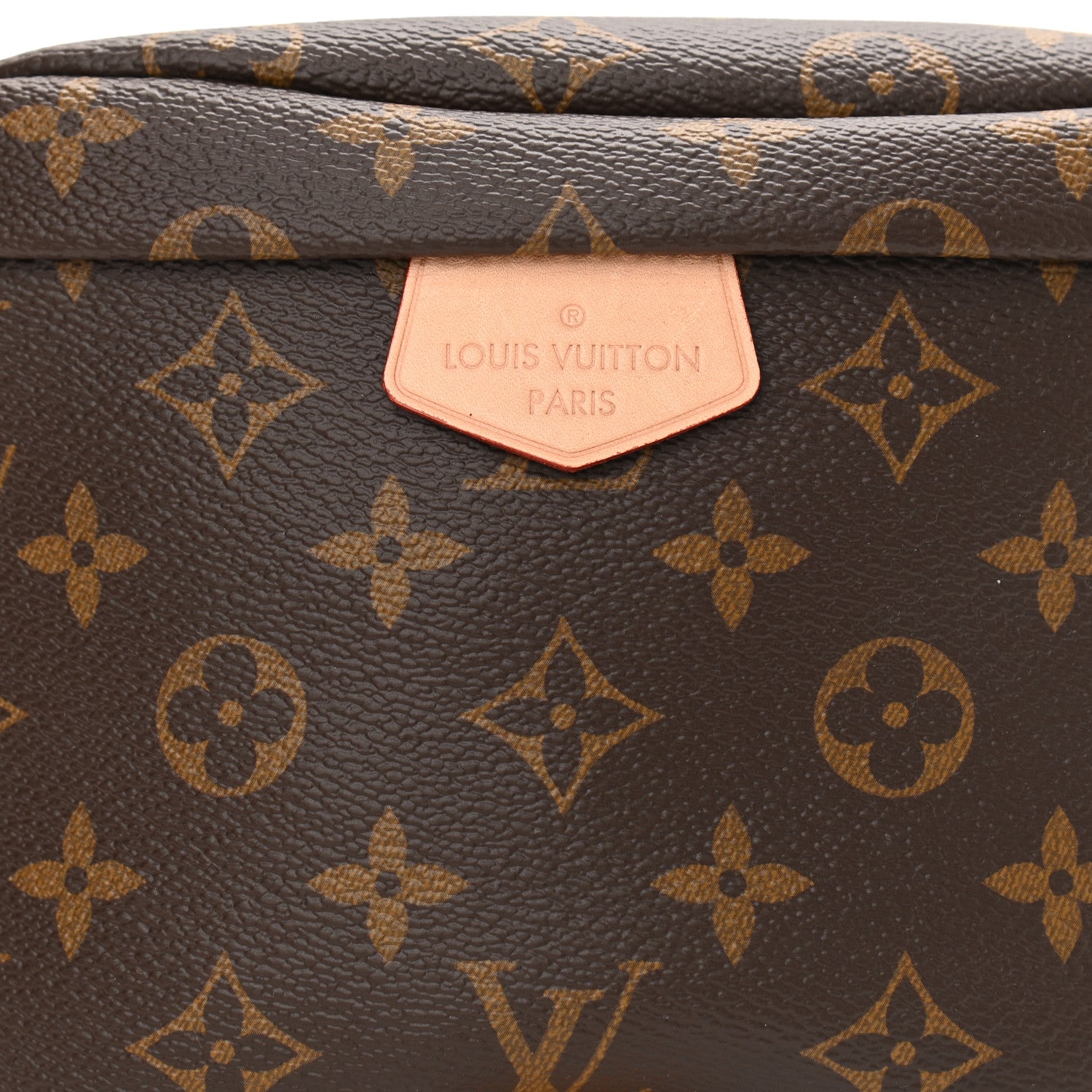 Louis Vuitton Monogram Bumbag 7 of 10