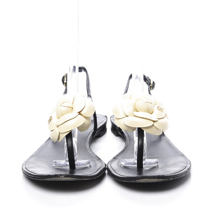 Chanel Lambskin Camellia Thong Sandals 37.5 Black White 3 of 9