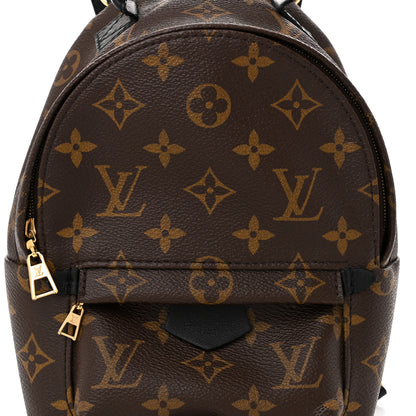 Louis Vuitton Monogram Palm Springs Backpack Mini 7 of 9