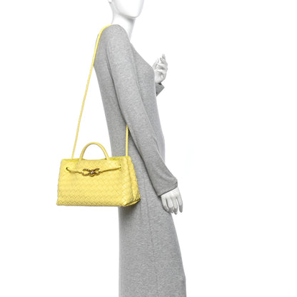 Bottega Veneta Nappa Intrecciato Small East West Andiamo Shoulder Bag Sherbert 2 of 9