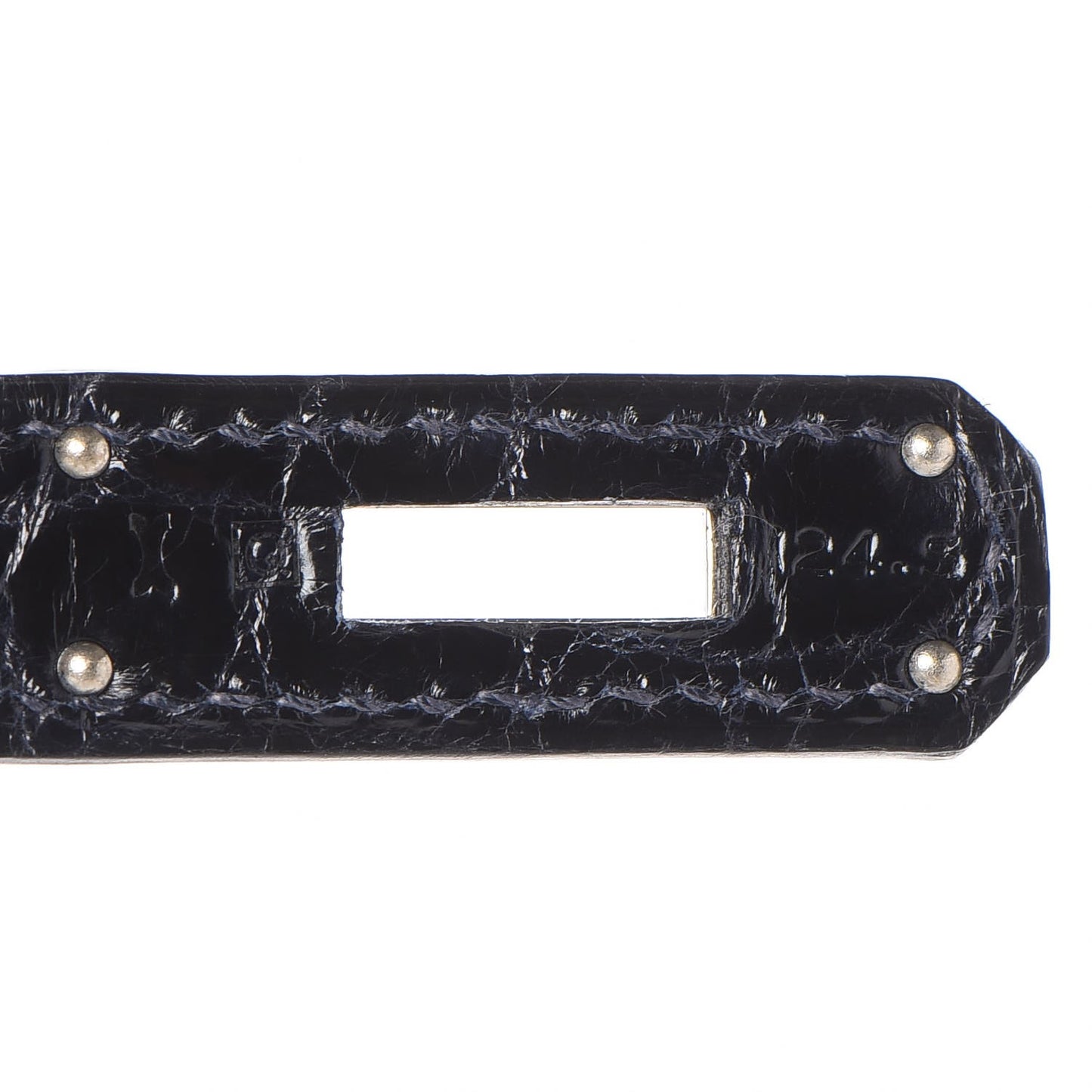 Shiny Niloticus Crocodile Kelly Sellier 32