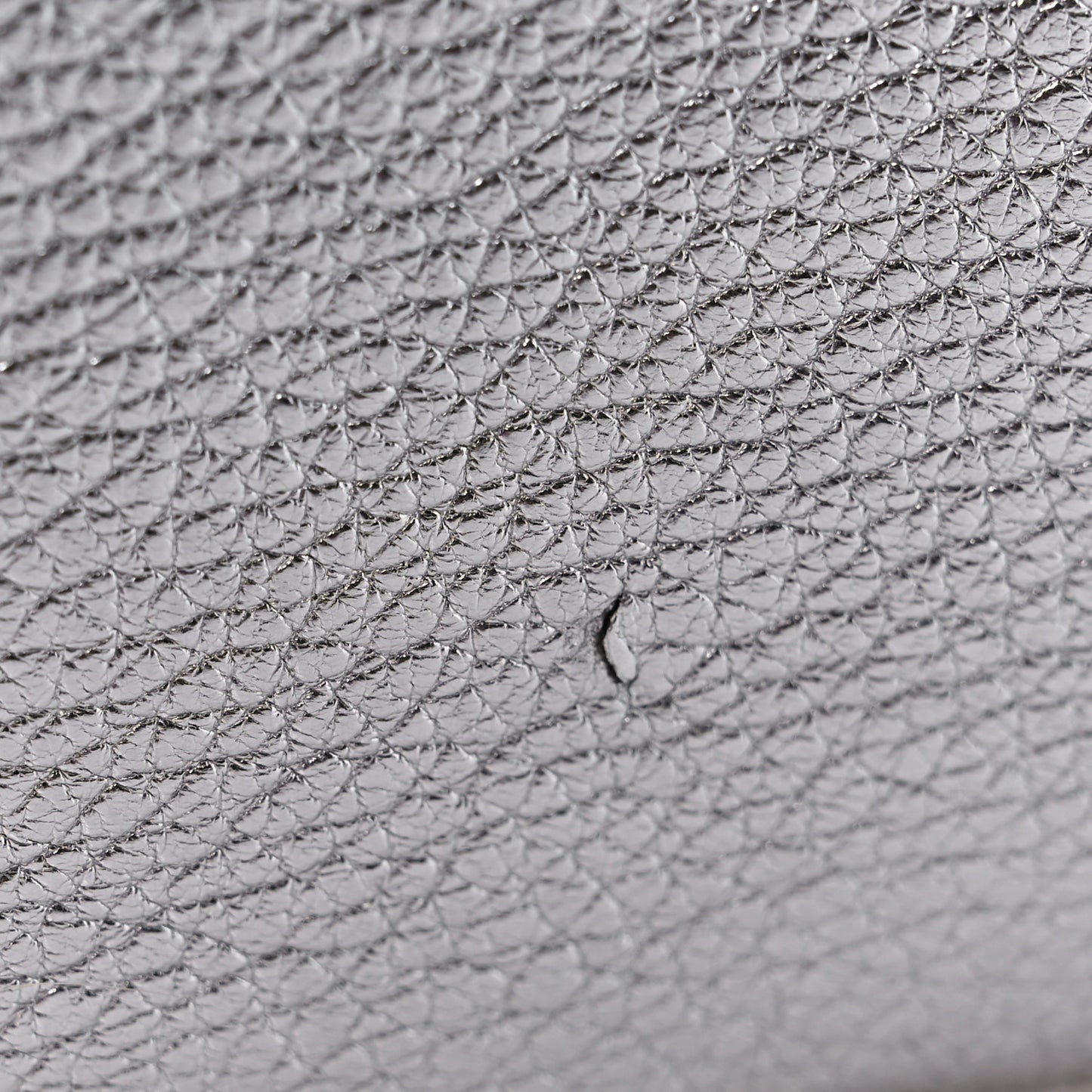 Metallic Goatskin Logo Large Everyday Zip Pouch Argent Black